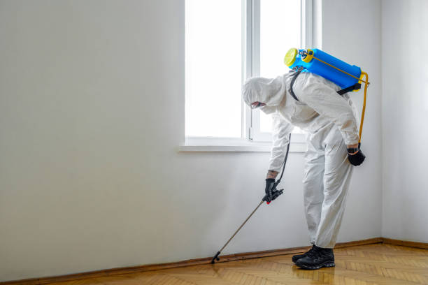 Best Pest Removal Services  in Clermont, FL