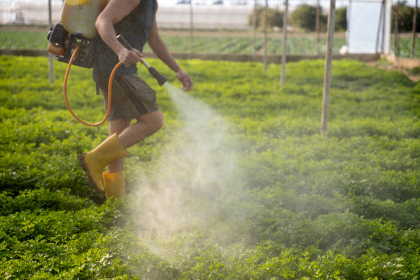 Best Commercial Pest Control Services  in Clermont, FL