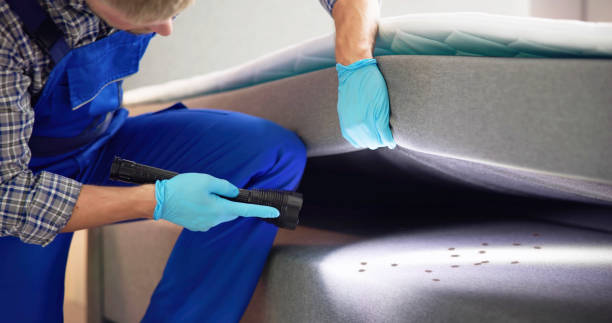 Best Affordable Pest Control Services  in Clermont, FL