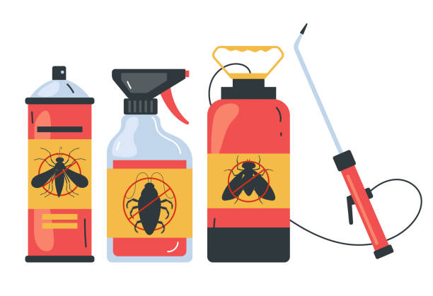 Flea Control Services in Clermont, FL